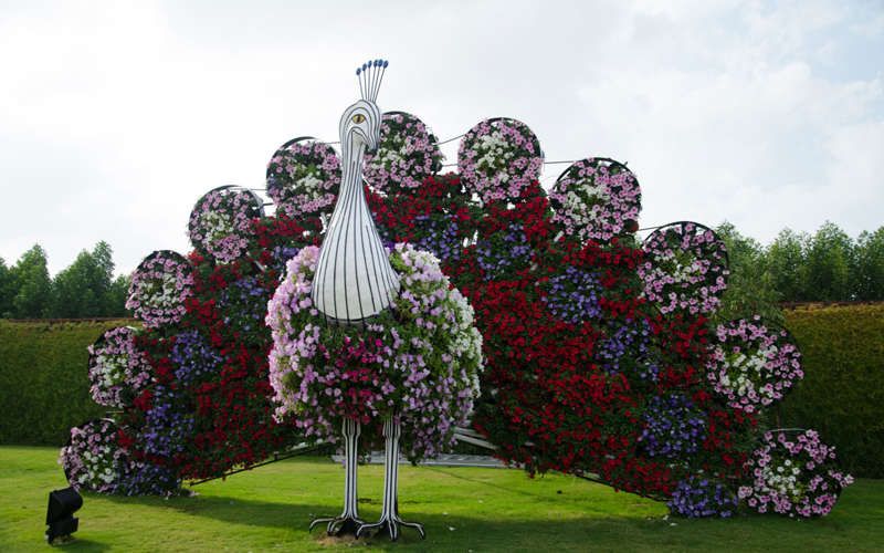 Découvrez le Dubaï Miracle Garden, le plus grand jardin de fleurs du monde ! | So Busy Girls