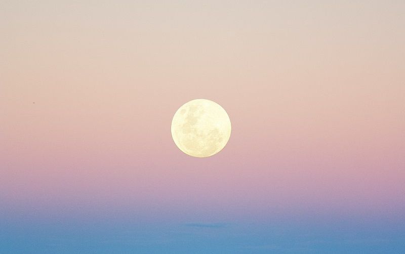 Nouvelle lune du 20 novembre 2025 : 3 signes vont comprendre quelque chose qui change tout | So Busy Girls