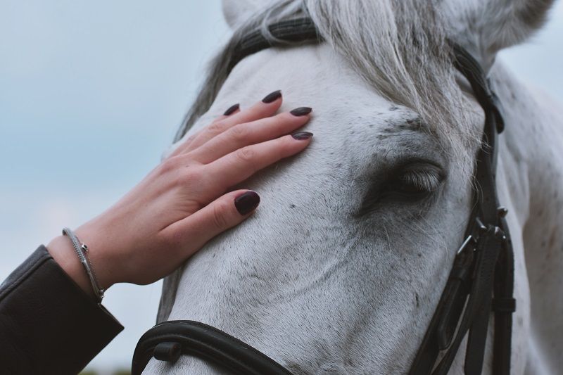 5 idées cadeaux parfaites pour une fan d’équitation | So Busy Girls