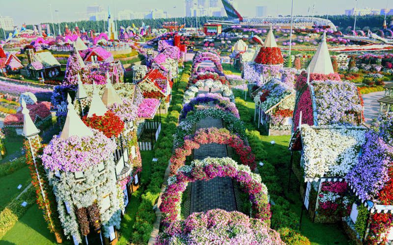 Découvrez le Dubaï Miracle Garden, le plus grand jardin de fleurs du monde ! | So Busy Girls