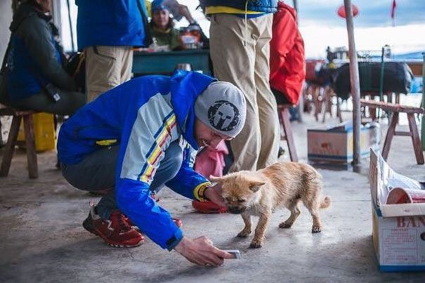 Un petit chien errant rejoint ce marathonien, court 100km avec lui et finit la course avec son nouveau maître ! | So Busy Girls