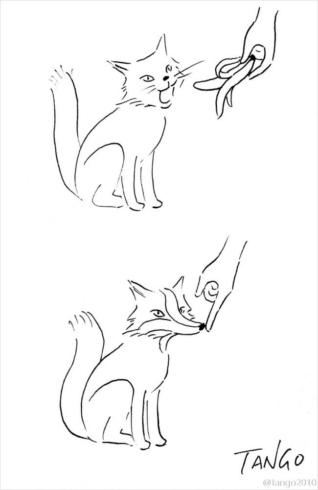 Vous allez adorer ces 18 illustrations très amusantes et pleines d'humour | So Busy Girls