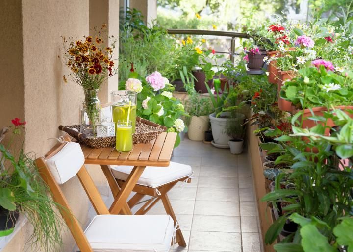 balcon-ombre-plantes-fleurs