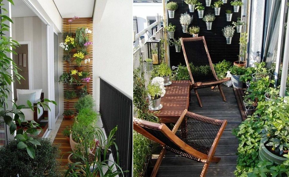 balcon-plantes