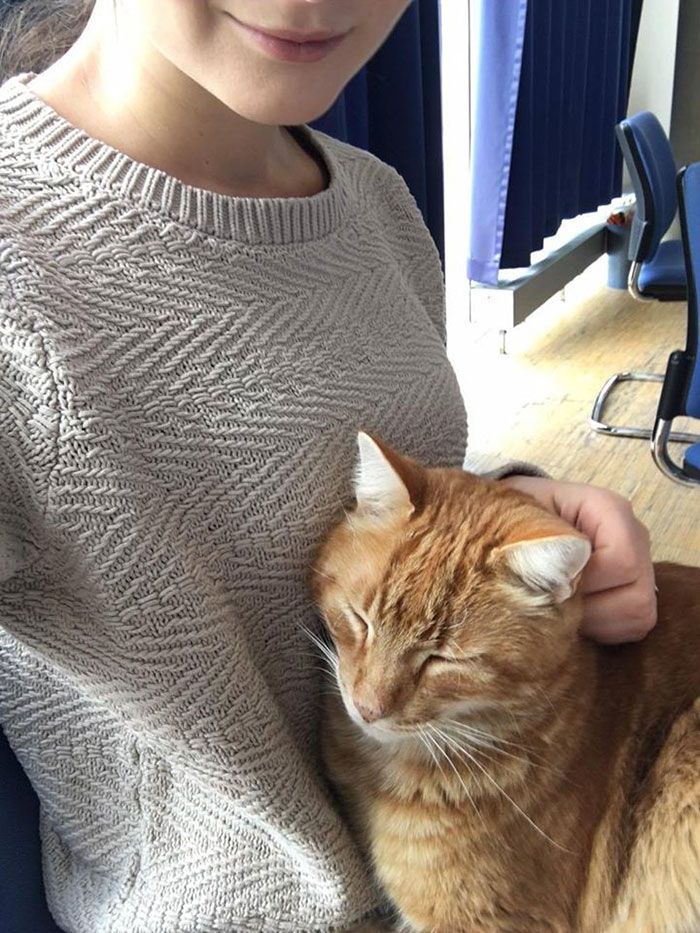 Ce chat vient tous les jours à l'Université pour encourager les étudiants en leur faisant des câlins | So Busy Girls