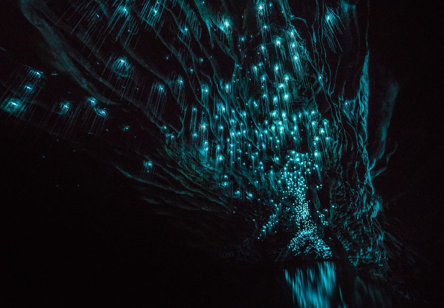 Des centaines de vers luisants transforment cette grotte néo-zélandaise en magnifique nuit étoilée | So Busy Girls