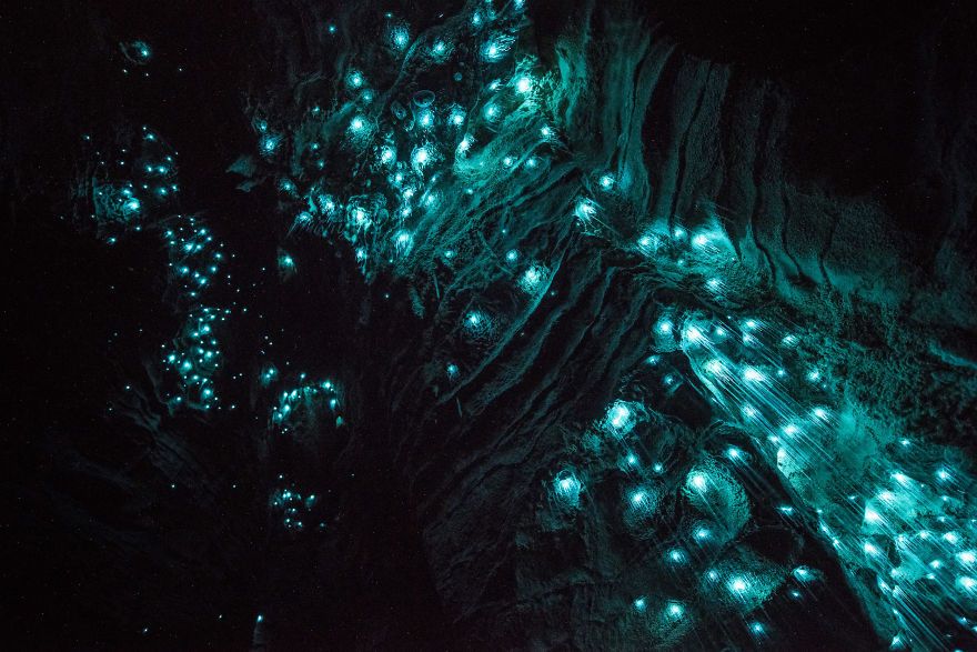 Des centaines de vers luisants transforment cette grotte néo-zélandaise en magnifique nuit étoilée | So Busy Girls