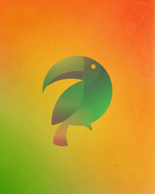 Toucan | So Busy Girls