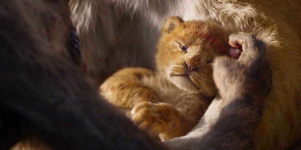 Le nouveau teaser du Roi Lion est tellement chou qu'il va vous faire fondre | So Busy Girls