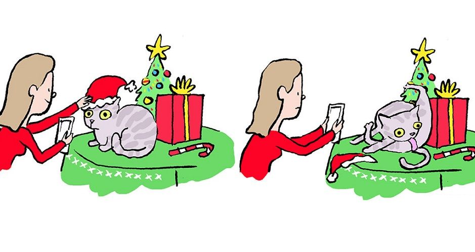13 bandes dessinées amusantes sur les animaux | So Busy Girls
