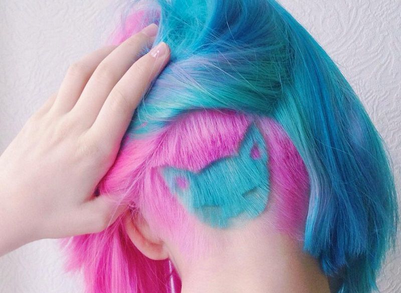 Les amoureuses des chats et des cheveux arc-en-ciel vont adorer cette nouvelle coiffure | So Busy Girls