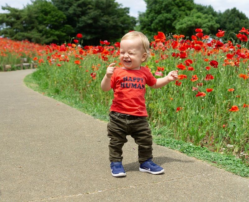 bebe-qui-marche-champ-de-coquelicots