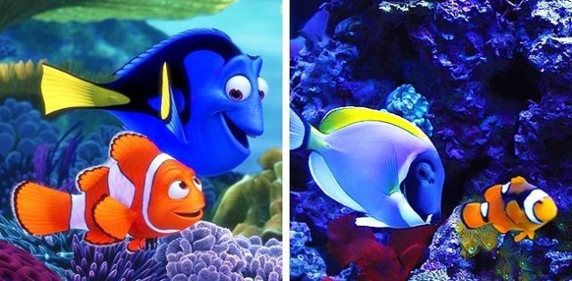 Marin et Dory (Le Monde de Nemo) | So Busy Girls