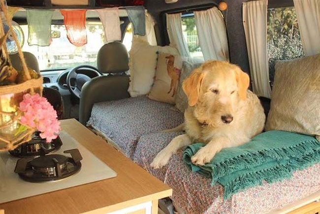 Cette jeune femme a transformé sa camionnette pour que ses rêves de voyage deviennent réalité | So Busy Girls