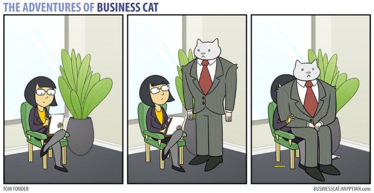 Voilà à quoi ressemblerait votre patron s’il était un chat (petit indice : c'est très drôle !) | So Busy Girls