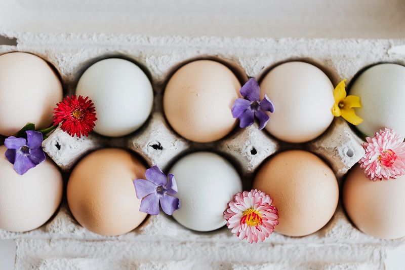 Les oeufs : comment bien les conserver ?