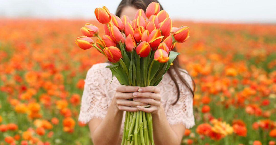 bouquet-tulipes-rouges