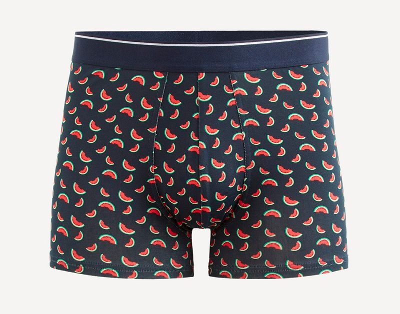 boxer-pasteque