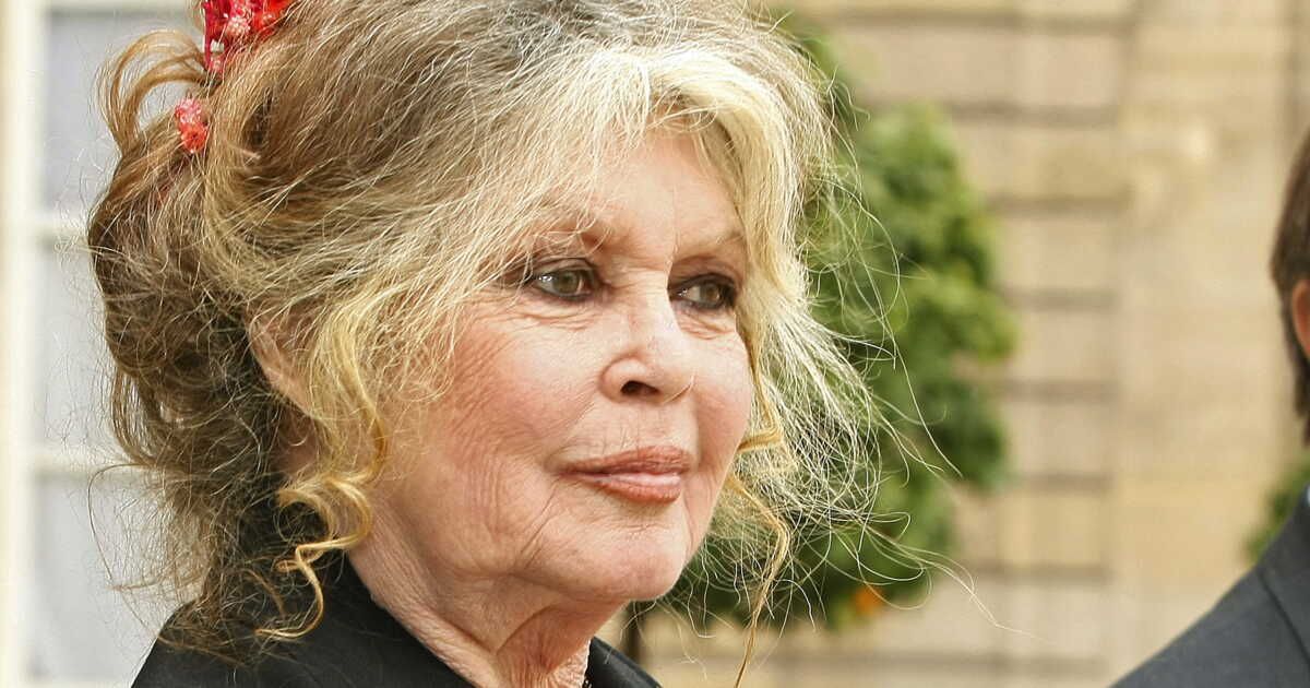 Même disparue, Brigitte Bardot refuse les honneurs
