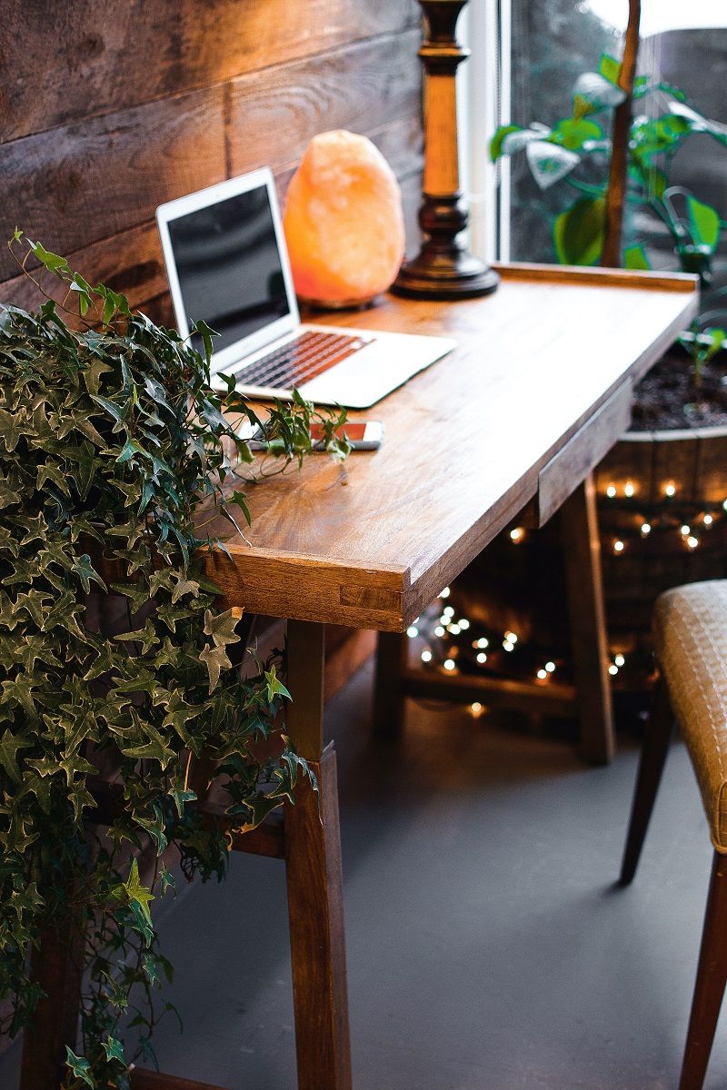 bureau-deco-nature-plantes