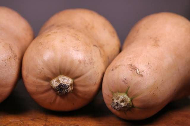 butternut-legume-hiver