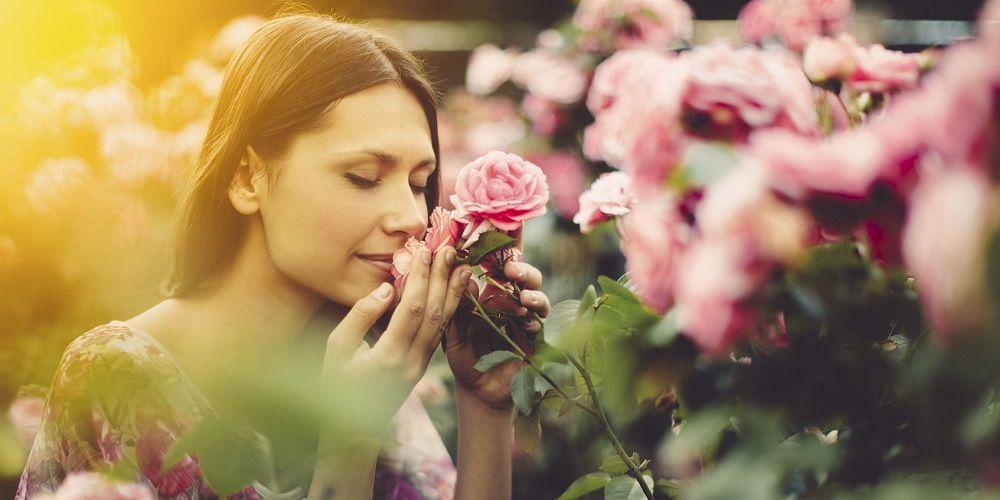 4 odeurs réconfortantes qui ont le pouvoir de nous apaiser et de diminuer le stress instantanément | So Busy Girls