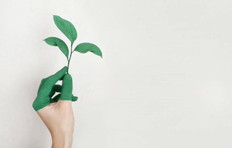 5 façons d'être éco-responsable | So Busy Girls