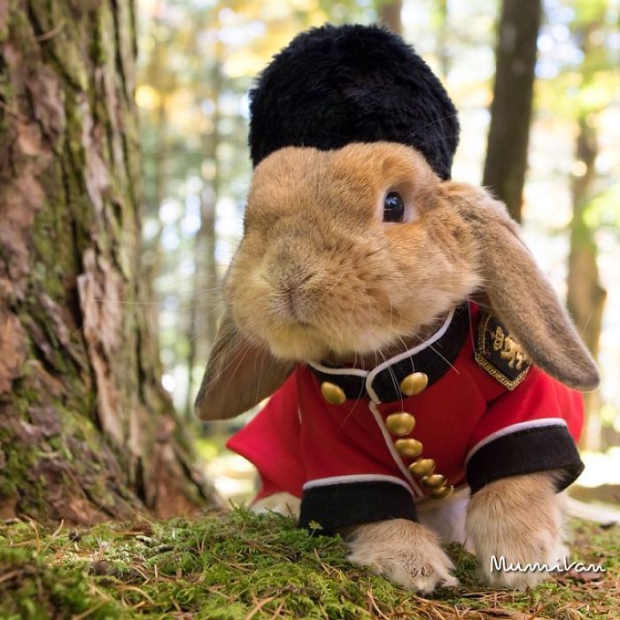 Découvrez PuiPui, le lapin le plus stylé du monde ! | So Busy Girls