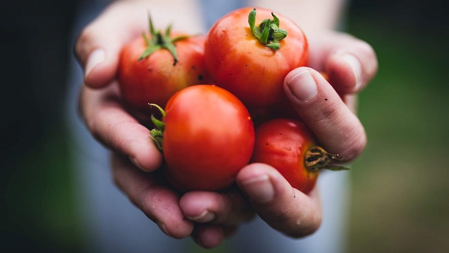 Les 23 fruits et légumes du mois de mai pour faire le plein de vitamines | So Busy Girls