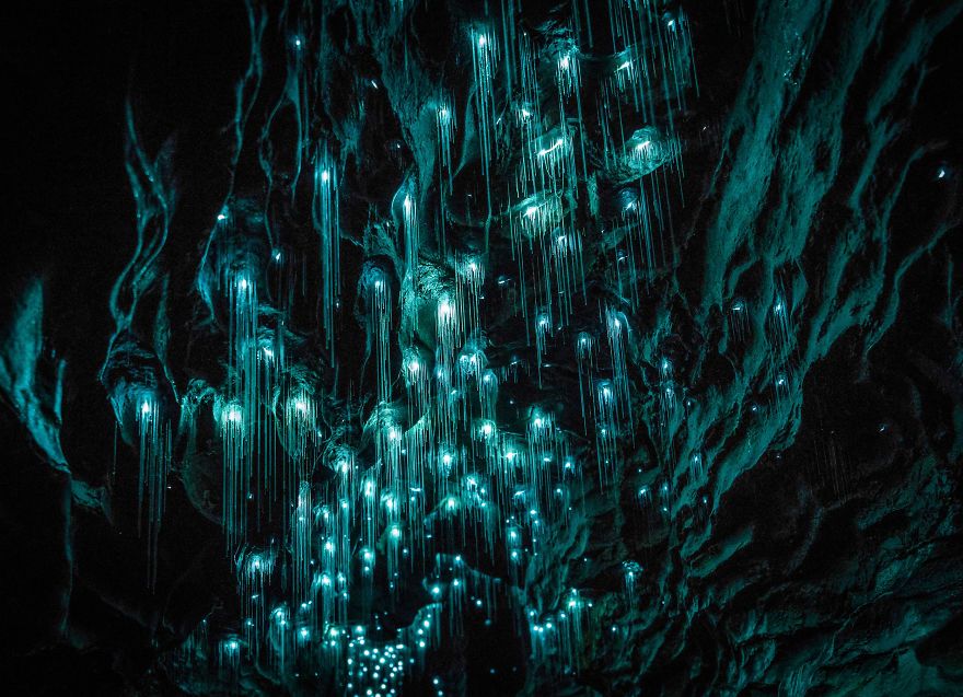 Des centaines de vers luisants transforment cette grotte néo-zélandaise en magnifique nuit étoilée | So Busy Girls