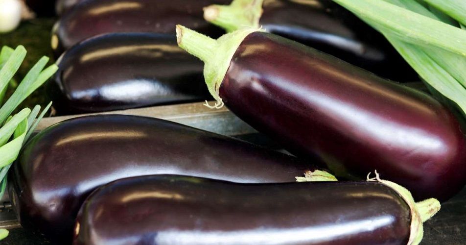 Voici comment conserver les aubergines plus longtemps | So Busy Girls