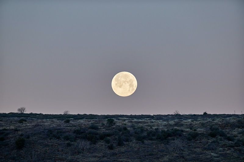 Pleine Lune Froide : ces signes astros n'auront aucune patience et voudront passer à l'action | So Busy Girls