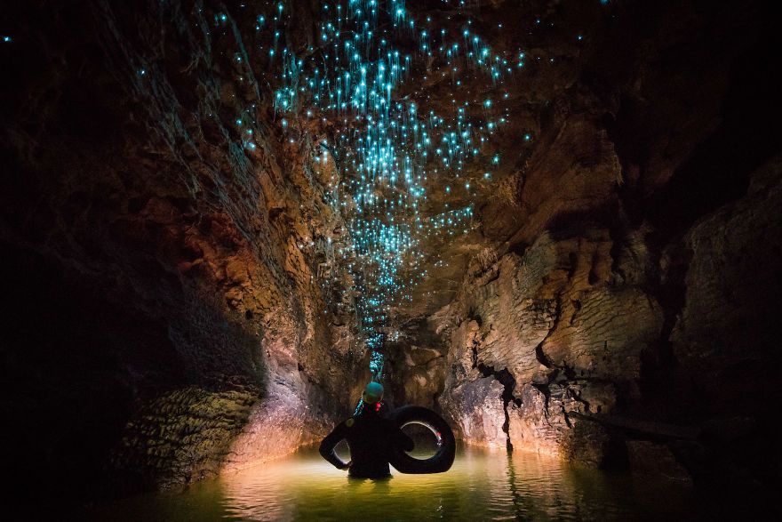 Des centaines de vers luisants transforment cette grotte néo-zélandaise en magnifique nuit étoilée | So Busy Girls