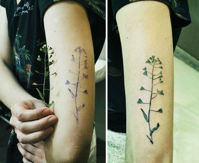 Cette tatoueuse utilise de vraies feuilles et des fleurs comme pochoirs pour réaliser de sublimes tatouages botaniques | So Busy Girls