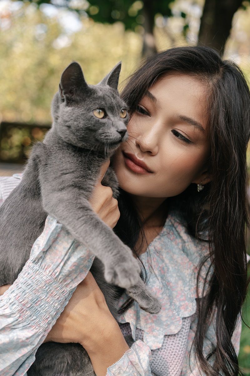 calin-chat