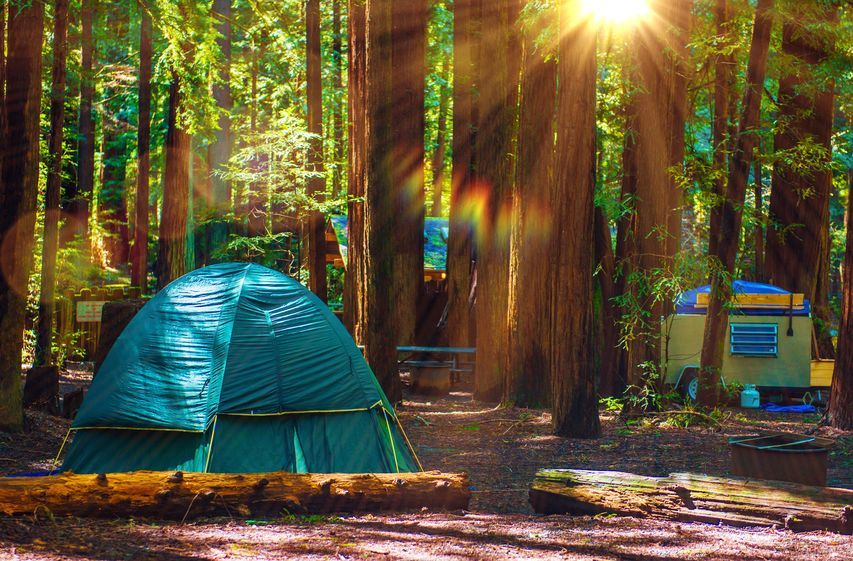 camping-tente-foret