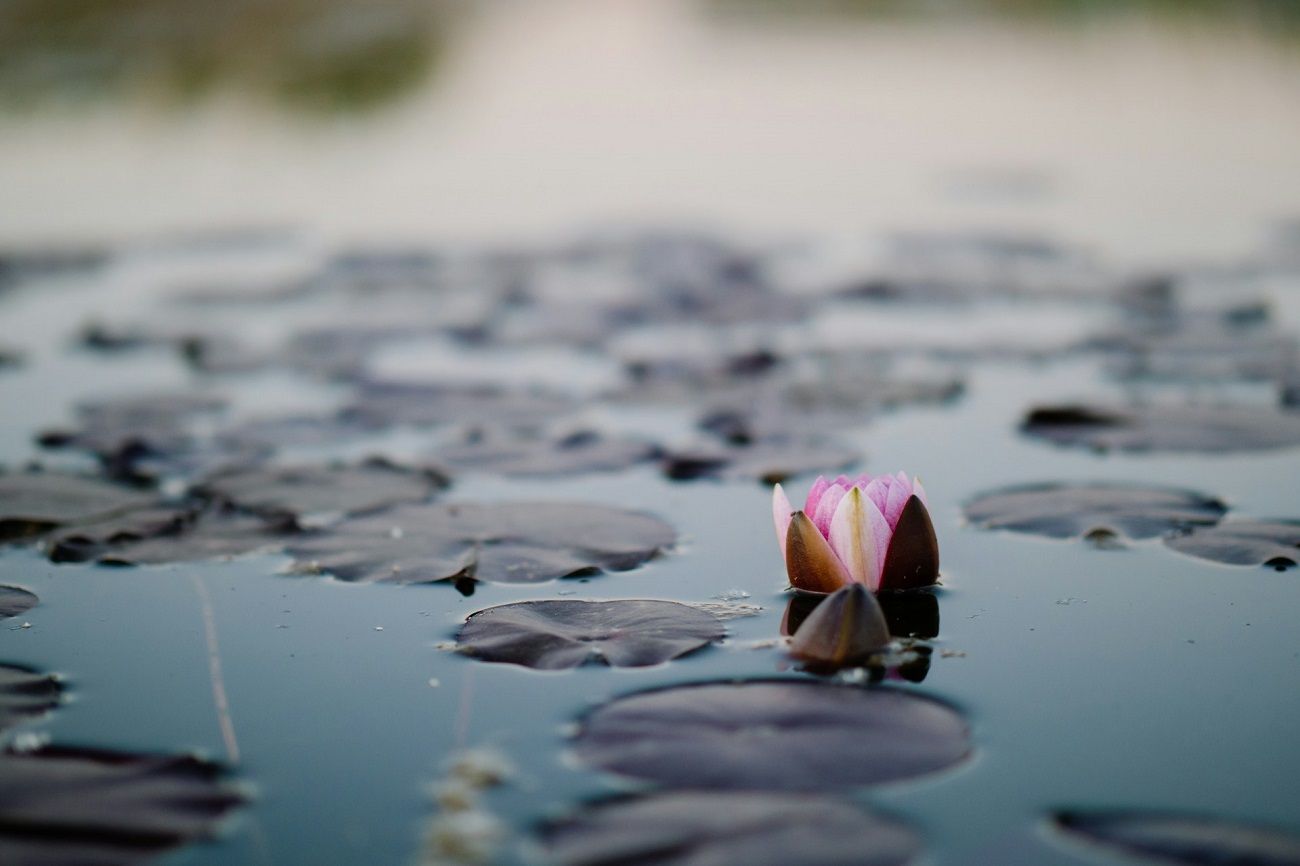 Exprimer sa gratitude pour ressentir plus de sérénité.