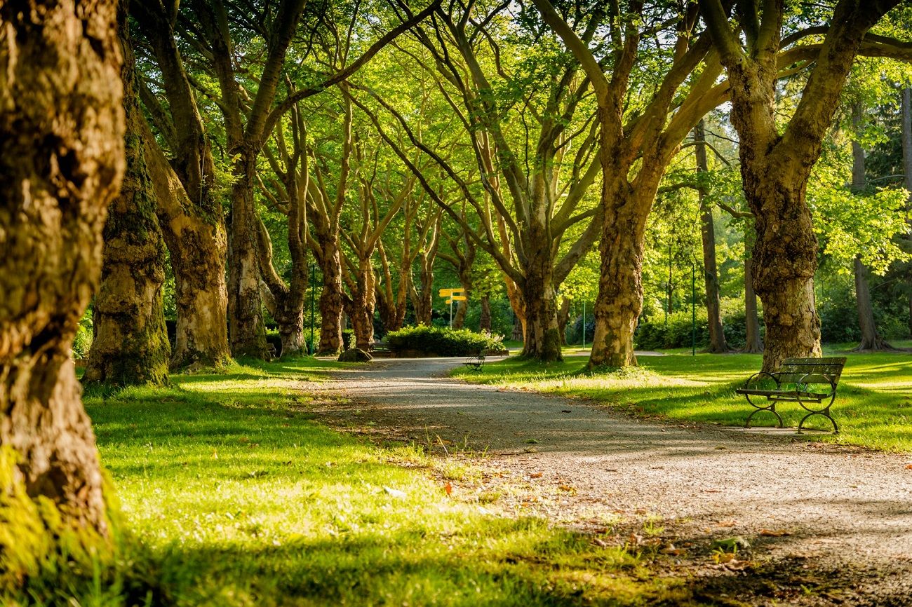 chemin-parc-espaces-verts