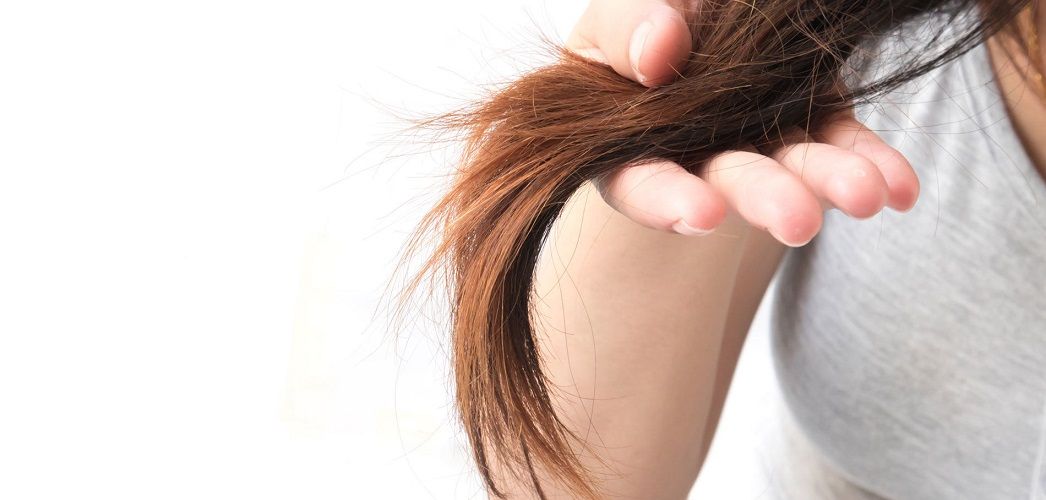Quelle est la dur&eacute;e de vie des cheveux ?