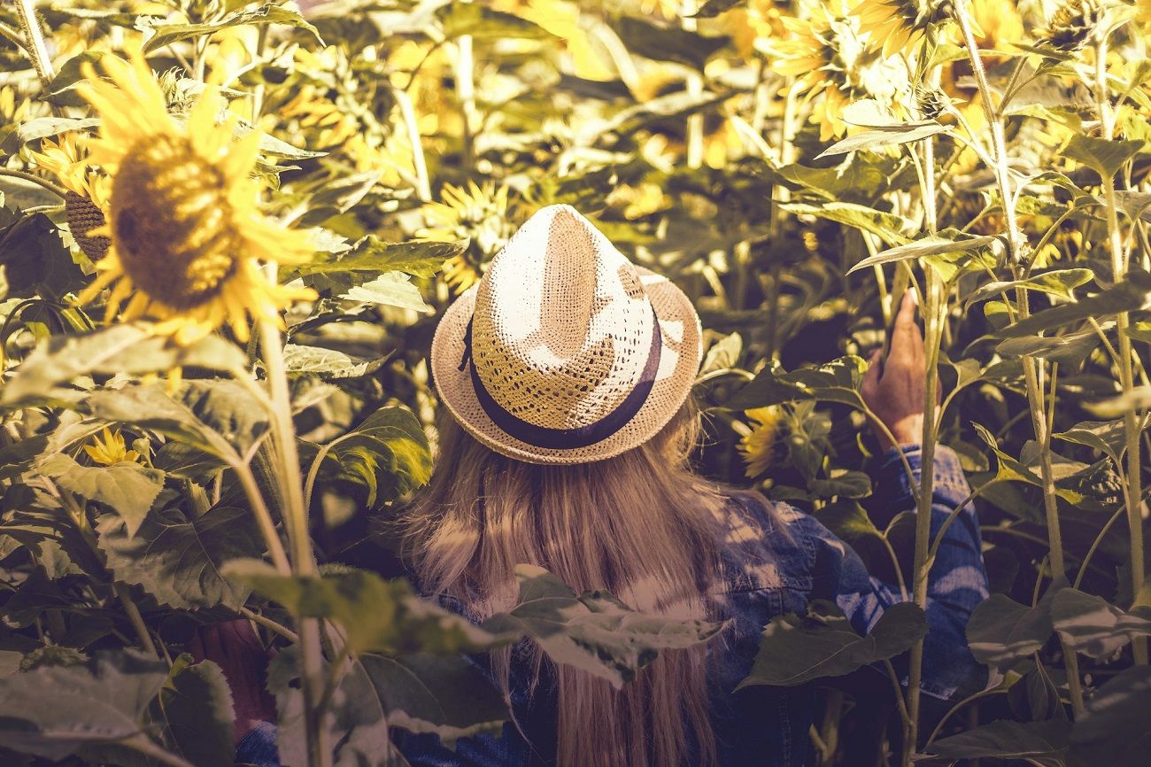 Canicule : l’Isère et le Rhône en vigilance orange ce mardi 24 juin
