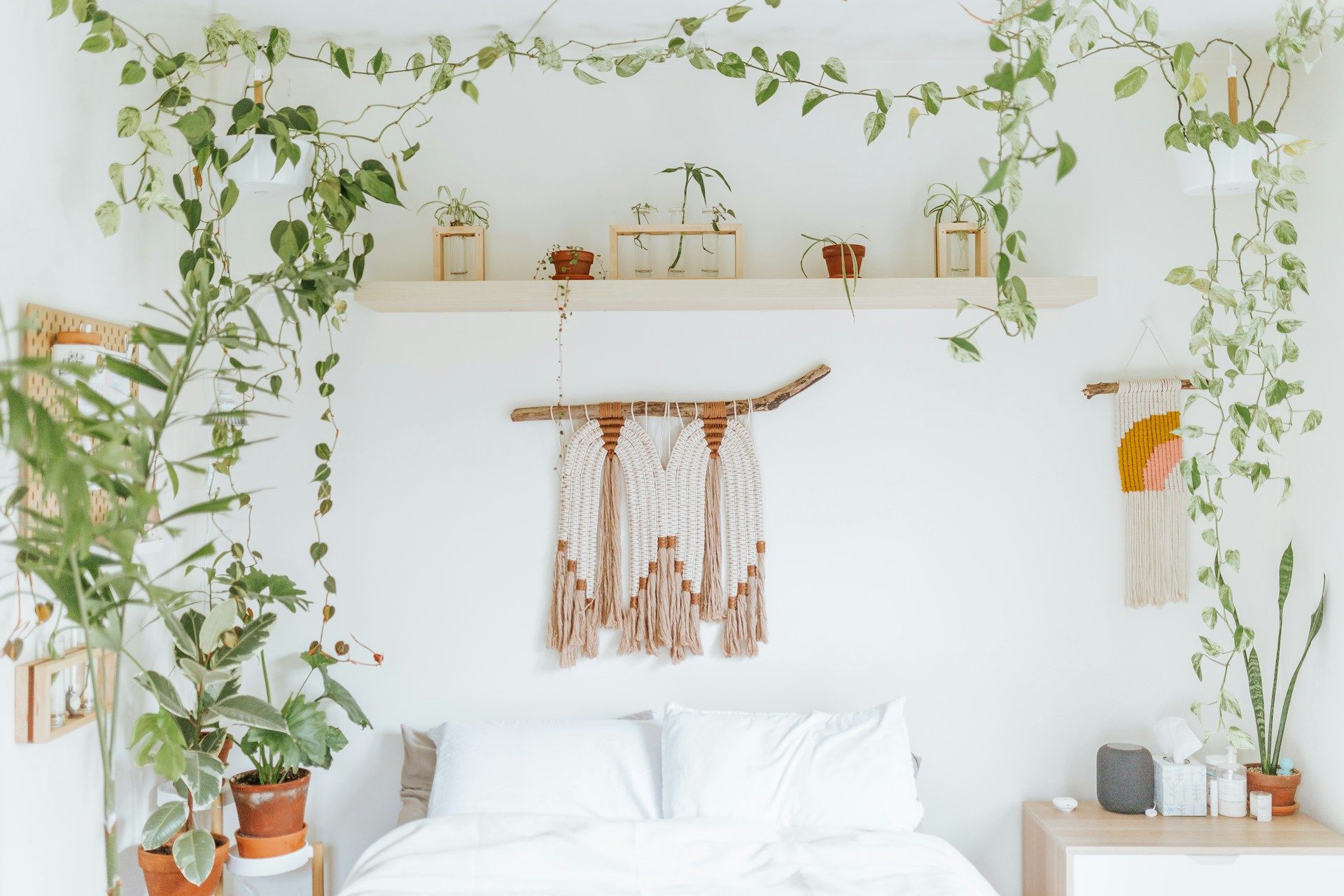 Les meilleures plantes pour la chambre