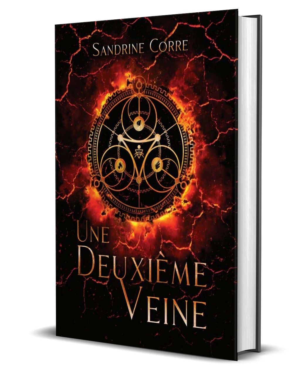 couv-3d-une-deuxieme-veine