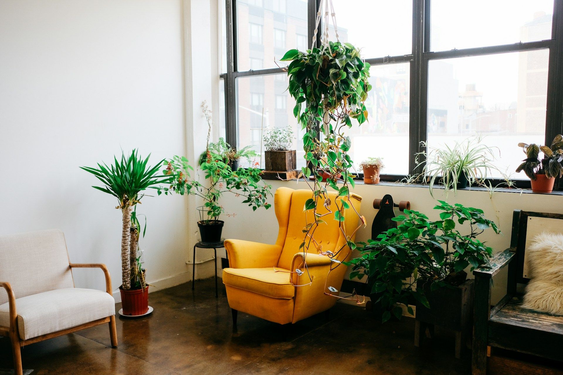 Quelle plante supporte la chaleur ?