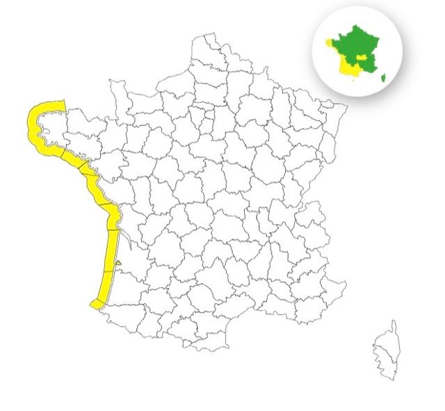 Vagues-submersion : voici les 8 départements placés en vigilance jaune ce jeudi 6 novembre 2025