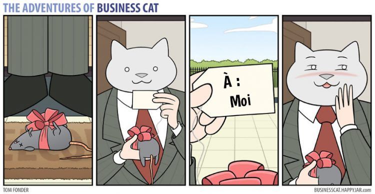 Voilà à quoi ressemblerait votre patron s’il était un chat (petit indice : c'est très drôle !) | So Busy Girls