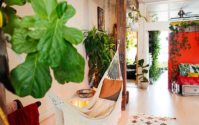 Cette jeune femme a planté plus de 500 plantes dans son appartement new-yorkais et l'a transformé en vrai jungle d'intérieur | So Busy Girls