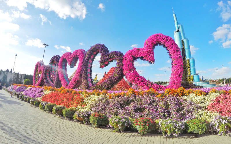 Découvrez le Dubaï Miracle Garden, le plus grand jardin de fleurs du monde ! | So Busy Girls
