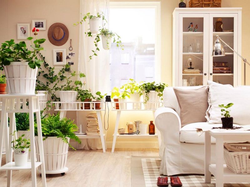Avoir des plantes chez vous vous permettra de vivre plus longtemps ! | So Busy Girls