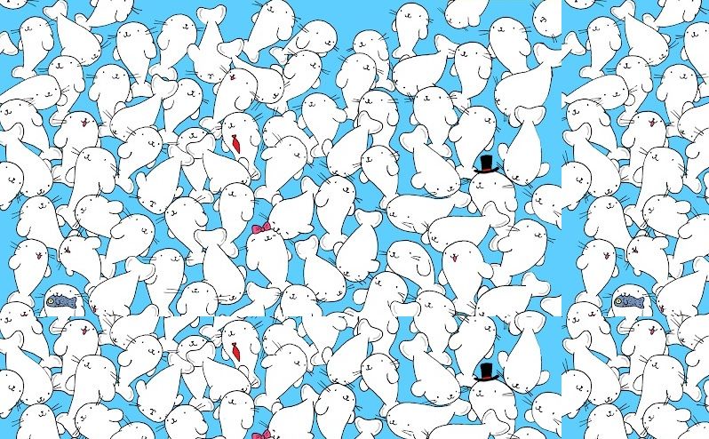 Personne ne trouve le marshmallow caché parmi tous ces phoques, et ça a de quoi rendre dingue ! | So Busy Girls
