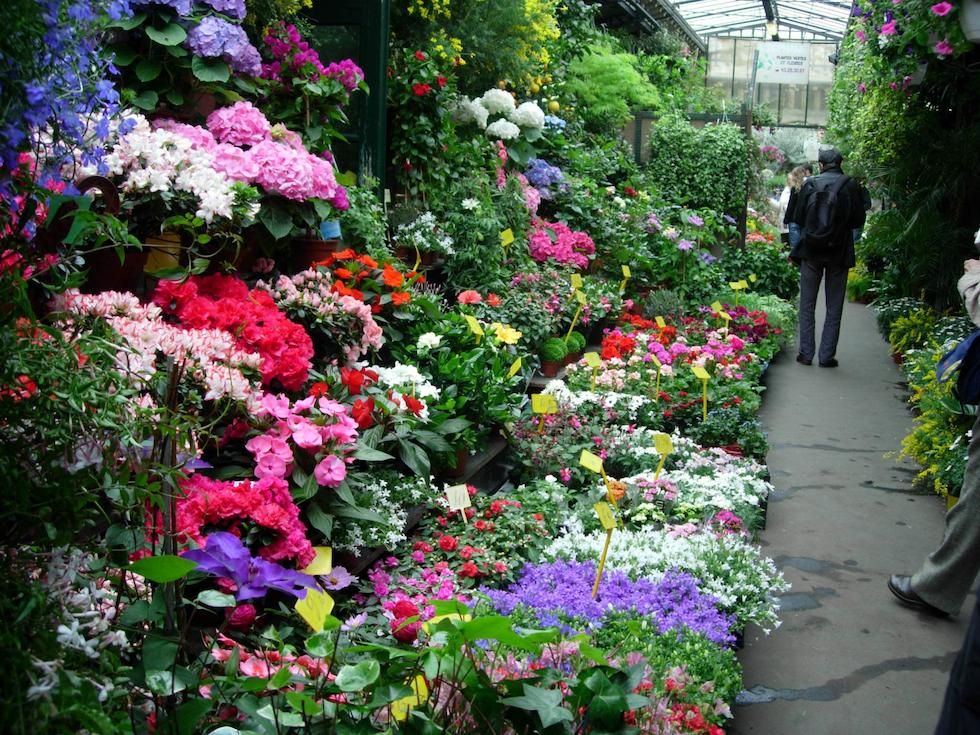 Marchés aux fleurs : découvrez les plus beaux lieux de France ! | So Busy Girls